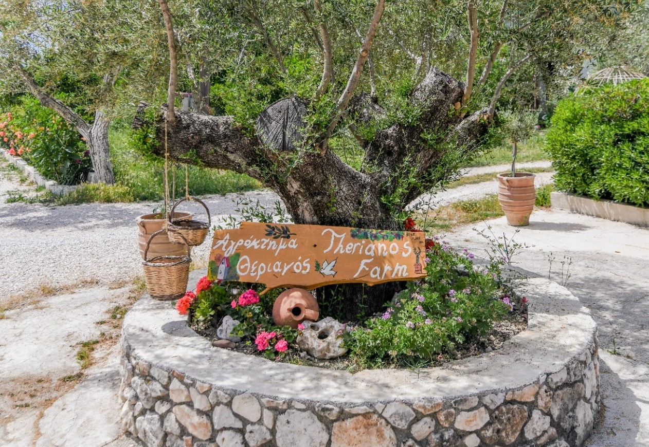 image-crop-200000007-7